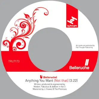 Anything You Want (Not That) - Single by Belleruche album download