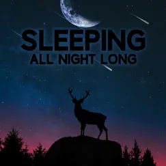 Sleeping All Night Long: Best Sounds for Deep Sleep and Relaxation After Long Day by Restful Sleep Music Collection album reviews, ratings, credits