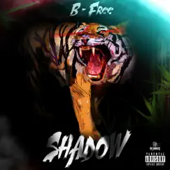 Shadow (feat. Cokejazz) by B-Free album reviews, ratings, credits