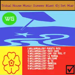 Tribal House Music Summer Blast (Dj Set Mix) by William Gallery album reviews, ratings, credits