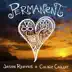 Permanent (feat. Colbie Caillat) - Single album cover