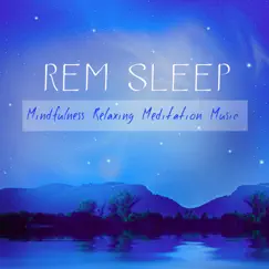 Rem Sleep: Mindfulness Relaxing Meditation Music for Insomnia Cures and Reduce Anxiety by Liquid Sleep Music Club album reviews, ratings, credits