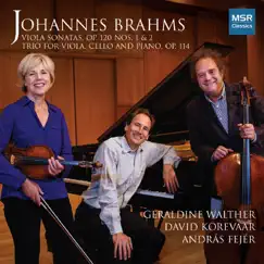 Johannes Brahms: Viola Sonatas Op. 120, Nos. 1 & 2; Trio, Op. 114 by Geraldine Walther, David Korevaar & András Fejér album reviews, ratings, credits