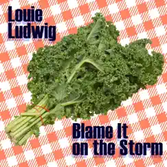 Blame It on the Storm - Single by Louie Ludwig album reviews, ratings, credits