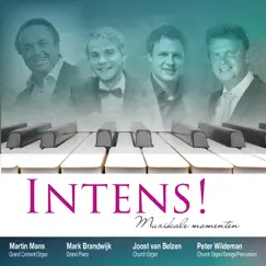 Intens! (Muzikale momenten) by Martin Mans, Mark Brandwijk, Joost van Belzen & Peter Wildeman album reviews, ratings, credits