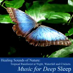 Healing Sounds of Nature: Tropical Rainforest (Waterfall and Crickets) by Music for Deep Sleep album reviews, ratings, credits
