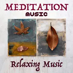 Meditation Music - Relaxing Music & Oriental Meditation Music for Yoga and Pilates by Zen Nadir & Meditation Relaxation Club album reviews, ratings, credits