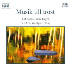 Musik till tröst by Ulf Samuelsson & Per-Arne Wahlgren album reviews, ratings, credits