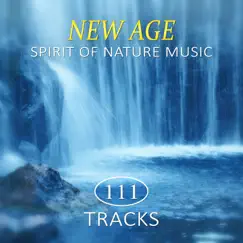 New Age Spirit of Nature Music & Healing Power of Water Therapy: 111 Best Relaxing Tracks Pure Nature, Chakra Balancing for Body, Mind & Soul, Yoga & Mindfulness Training by Various Artists album reviews, ratings, credits