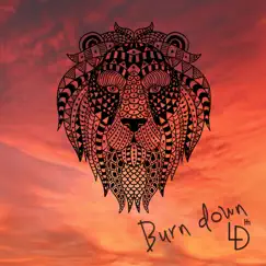 Burn Down Song Lyrics