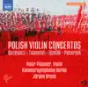 Polish Violin Concertos album lyrics, reviews, download