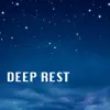 Deep Rest - Music to Sleep Deeply Through the Night, Soothing Sounds for Overcoming Sleeplessness album lyrics, reviews, download