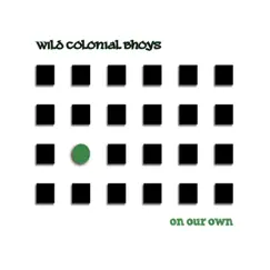 On Our Own by Wild Colonial Bhoys album reviews, ratings, credits