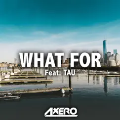 What For (feat. TAU) - Single by Axero album reviews, ratings, credits