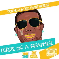 Birds of a Feather 2 by Don Mega & Gucci Mane album reviews, ratings, credits