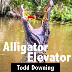 Alligator Elevator - Single by Todd Downing album reviews, ratings, credits