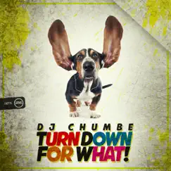 Turn Down for What! - Single by DJ Chumbe album reviews, ratings, credits