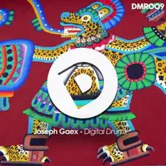 Digital Drums - Single by Joseph Gaex album reviews, ratings, credits