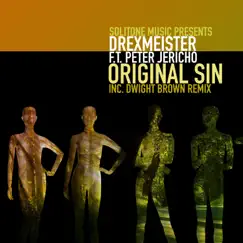 Original Sin (Dwight Brown Afro Soul Remix) [feat. Peter Jericho] Song Lyrics