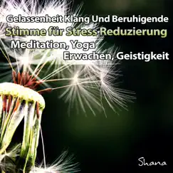 Meditationsmusik: Geistigkeit (Wald) Song Lyrics