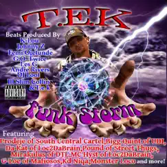 The Funk Storm by T.E.K. album reviews, ratings, credits