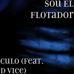 Culo (feat. D Vice) - Single by Sou El Flotador album reviews, ratings, credits