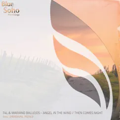 Angel in the Wind / Then Comes Night - Single by T4L & Mariano Ballejos album reviews, ratings, credits