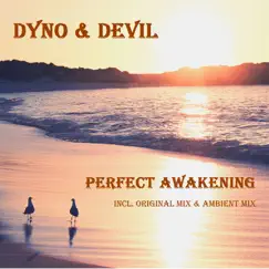 Perfect Awakening (Ambient Mix) Song Lyrics