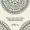 Trungungo (feat. Andyboi) - Single album lyrics, reviews, download