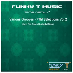 Various Grooves: FTM Selections, Vol. 2 by Dj Funky T album reviews, ratings, credits