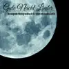 Gute Nacht Lieder - Beruhigende Hintergrundmusik für einen erholsamen Schlaf album lyrics, reviews, download