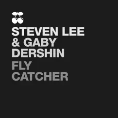 Fly Catcher (Marco G & Amin Golestan Remix) Song Lyrics