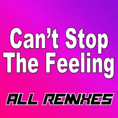 Can't Stop the Feeling (Extended Mix) Song Lyrics