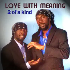 Love With Meaning - Single by 2 of a Kind album reviews, ratings, credits