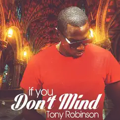If You Don't Mind (feat. DJ Breezy) Song Lyrics
