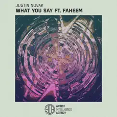 What You Say (feat. Faheem) Song Lyrics