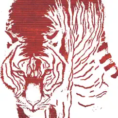 The Tiger's Grin Song Lyrics