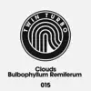 Bulbophyllum Remiferum - Single album lyrics, reviews, download