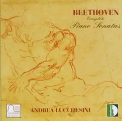 Piano Sonata No. 9 in E Major, Op. 14 No. 1: II. Allegretto (Live) Song Lyrics