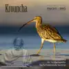 Meditation Tunes - Pakshi / Bird - Krouncha album lyrics, reviews, download