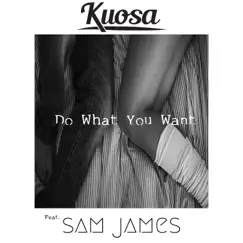 Do What You Want (feat. Sam James) - Single by Kuosa album reviews, ratings, credits