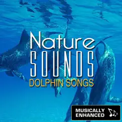 Nature Sounds: Dolphin Songs (Musically Enhanced) by Chacra Music album reviews, ratings, credits