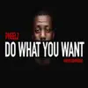 Do What You Want - Single album lyrics, reviews, download