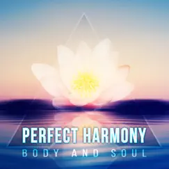Perfect Harmony: Body and Soul - Relaxing Natural Ambiences, Zen Meditation, Inner Peace, Restful Sleep, Stress Relief Music by Soothing music academy album reviews, ratings, credits