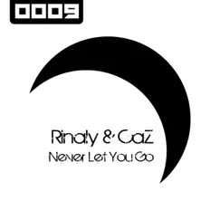 Never Let You Go - Single by Rinaly & CaZ album reviews, ratings, credits