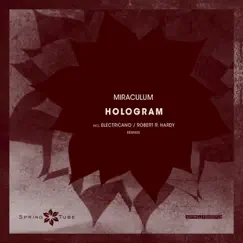 Hologram (Robert R. Hardy Remix) Song Lyrics