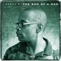 The Sum of a Man by Sadat X album reviews, ratings, credits