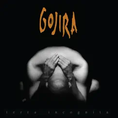 Terra Incognita by GOJIRA album reviews, ratings, credits