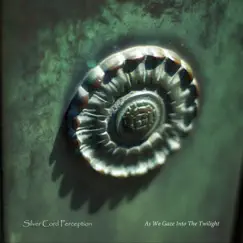 As We Gaze into the Twilight - EP by Silver Cord Perception album reviews, ratings, credits