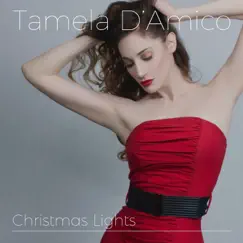 Christmas Lights (feat. Ben Burget) Song Lyrics